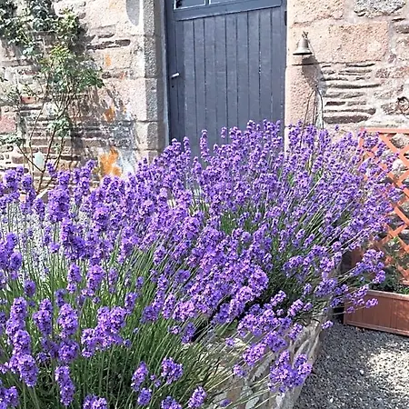 B&B Ferme De Noyes